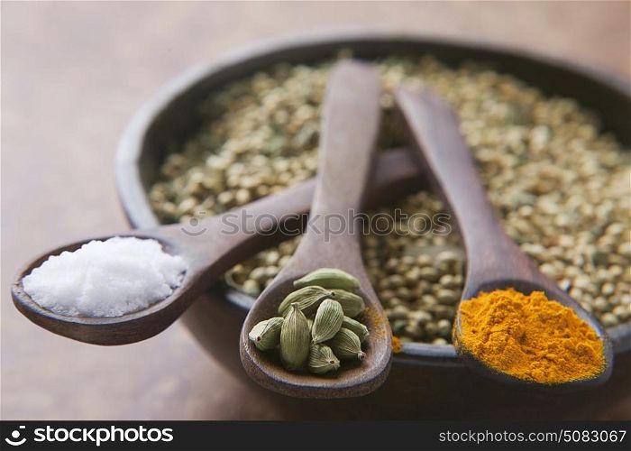 Close-up of Salt,Cardamom and Turmeric on wooden spoons
