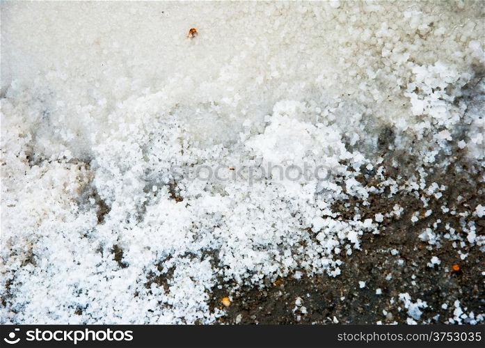 Close up of salt crystals in evaporation pond