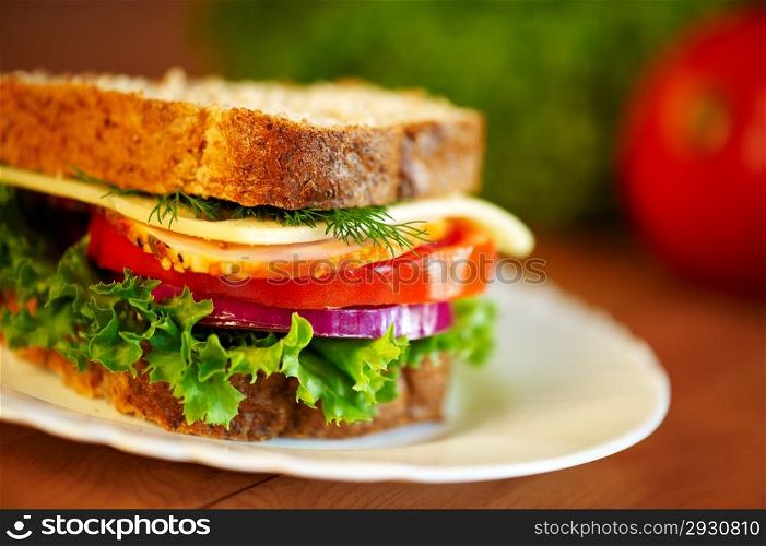 Close up of sandwich. Shalow DOF. Selective focus.