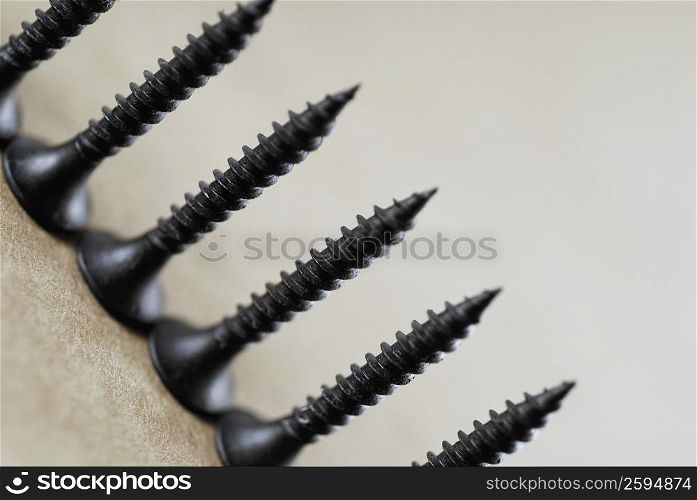 Close-up of screws in a row