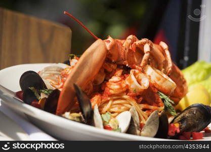 Close-up of seafood in a plate