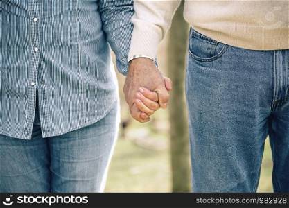 Close up of senior couple holding hands over nature background. Senior couple holding hands over nature background