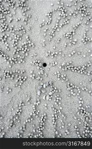 Close up of small pebbles and hole in sand made by crab in Daintree Rainforest, Australia.