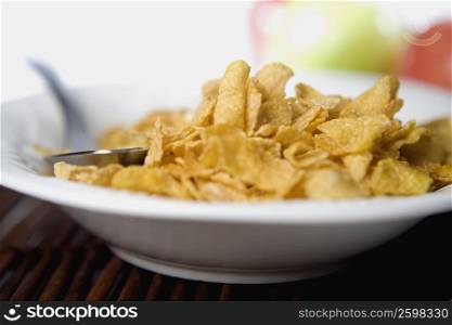 Close-up of snacks with a spoon in a plate