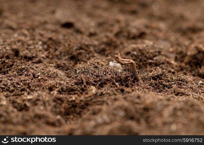 Close up of soil - can be used as background