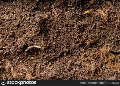 Close up of soil - can be used as background