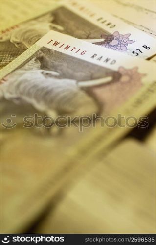 Close-up of South African banknotes