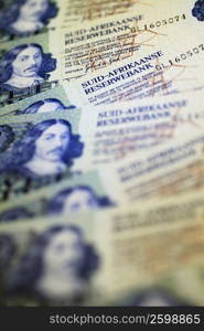 Close-up of South African banknotes