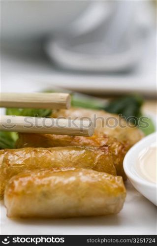 Close-up of spring rolls