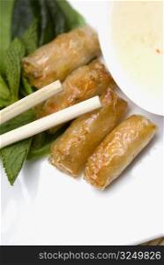 Close-up of spring rolls served in a tray