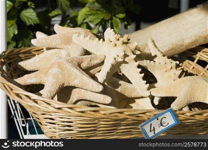 Close-up of starfish in a basket, Greece