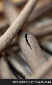 Close-up of sticks