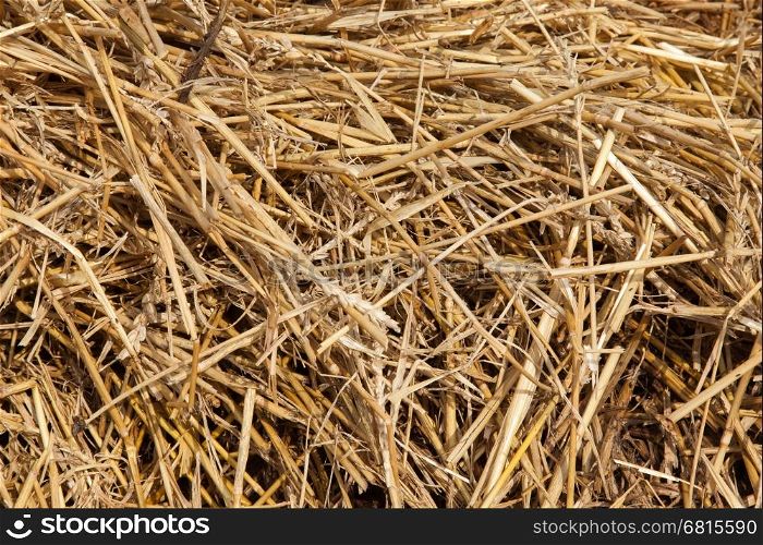 Close up of straw background texture, isolated