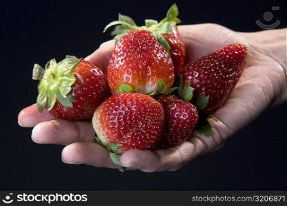 Close-up of strawberries on a person&acute;s hand