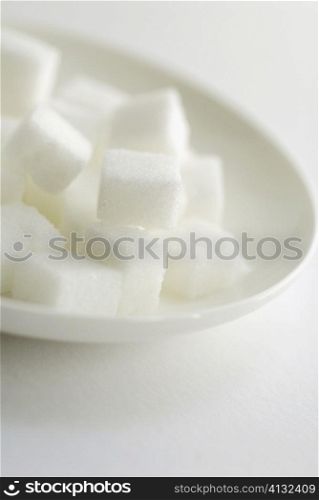 Close-up of sugar cubes in a plate