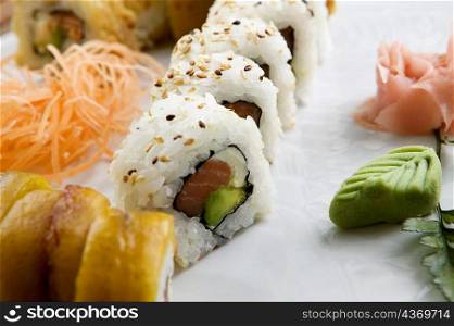 Close-up of sushi served in a tray