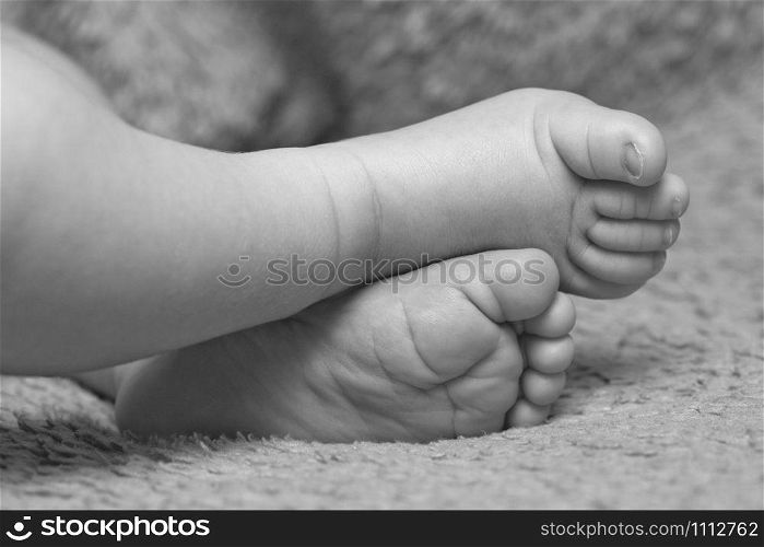 Close-up of sweet sleeping newborn baby feet. In B/W