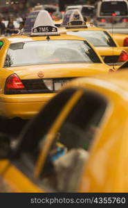 Close-up of taxis, New York City, New York State, USA