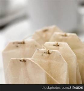 Close-up of teabags