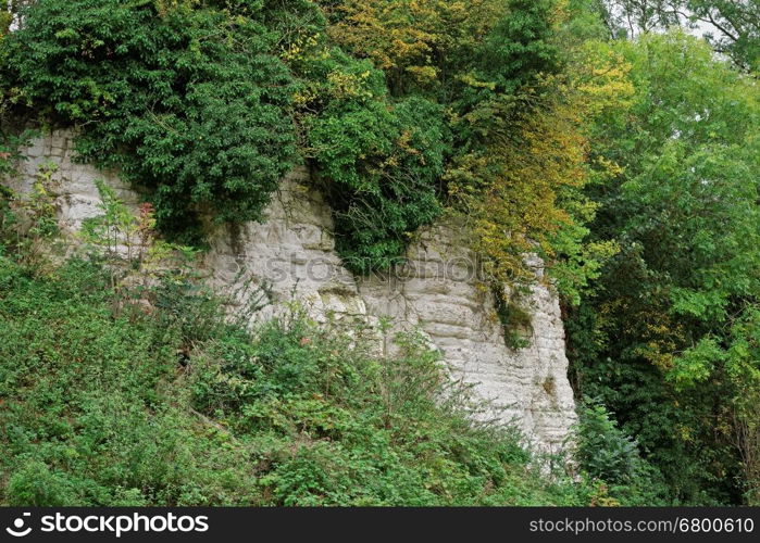 Close up of the chalk face of an old quarry in the UK