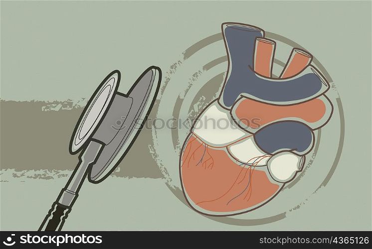 Close-up of the human heart and a stethoscope