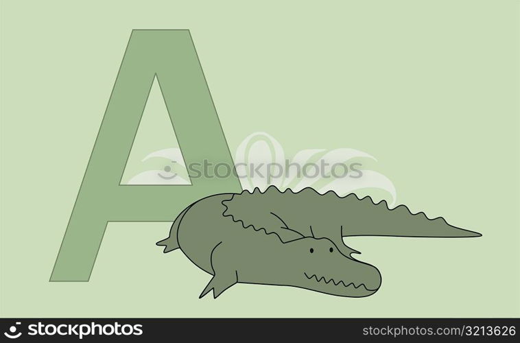 Close-up of the letter A with an alligator