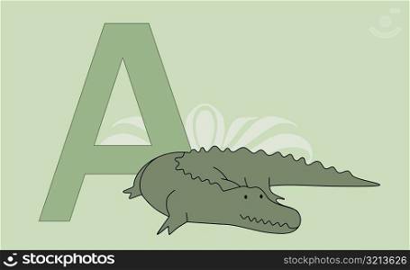 Close-up of the letter A with an alligator