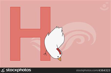 Close-up of the letter H with a hen