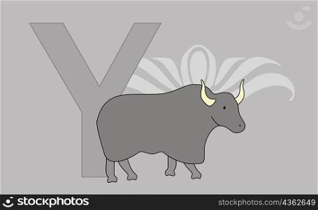 Close-up of the letter Y with a yak