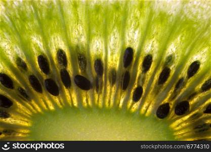 Close up of the seeds in a slice of Kiwi Fruit (Chinese Gooseberry)