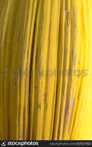 Close-up of the skin of a yellow fruit