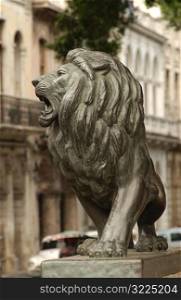 Close-up of the statue of a lion, Havana, Cuba
