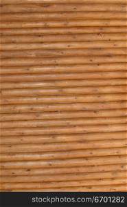 Close-up of the surface of a bamboo fence