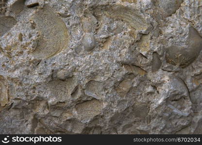 Close-up of the surface of a rock formation