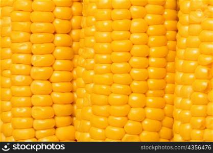 Close-up of three corncobs