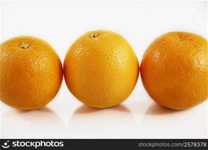 Close-up of three oranges