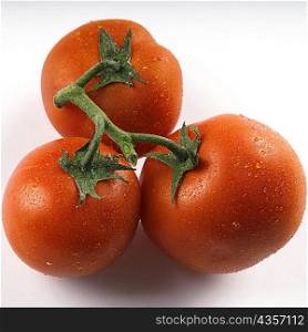 Close-up of three tomatoes