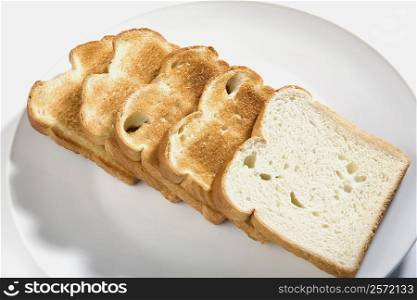 Close-up of toast in a plate