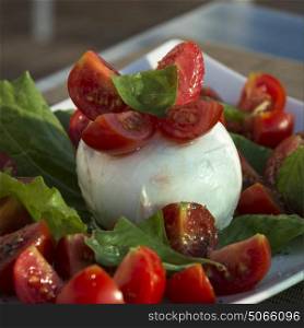 Close-up of tomato and cheese salad, Sant'Angelo, Ischia Island, Campania, Italy