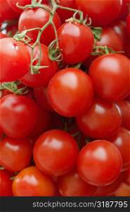 Close-up of tomatoes at a market stall, Sorrento, Sorrentine Peninsula, Naples Province, Campania, Italy