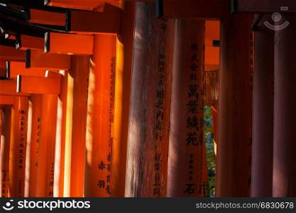 Close-up of Torii gates at Fushimi Inari Shrine in Kyoto, Japan.Fushimi Inari Shrine is one of 17 UNESCO World Heritage sites in Kyoto.