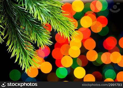 Close up of tree against blurred lights