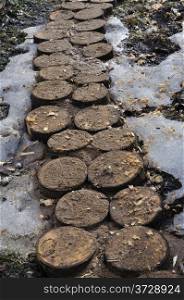 Close up of tree stumps makes a foot way in vegetable garden, early spring