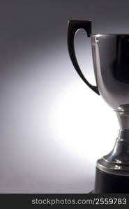 Close-Up Of Trophy