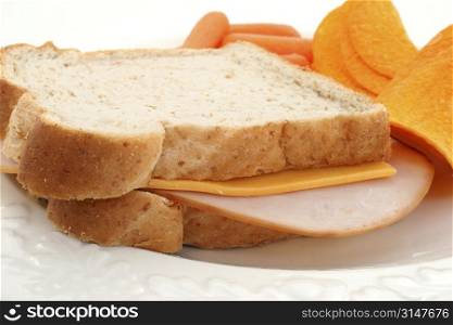 Close up of turkey and cheese sandwich with carrots and chips in background.