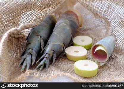 Close up of two bamboo shoot on burlap background, popular Vietnam vegetable in rainy season