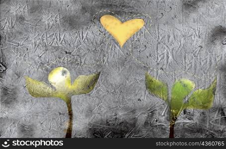 Close-up of two plants and a heart shape