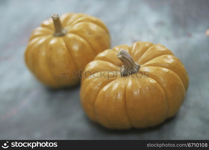 Close-up of two pumpkins