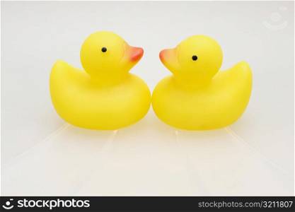 Close-up of two rubber ducks face to face