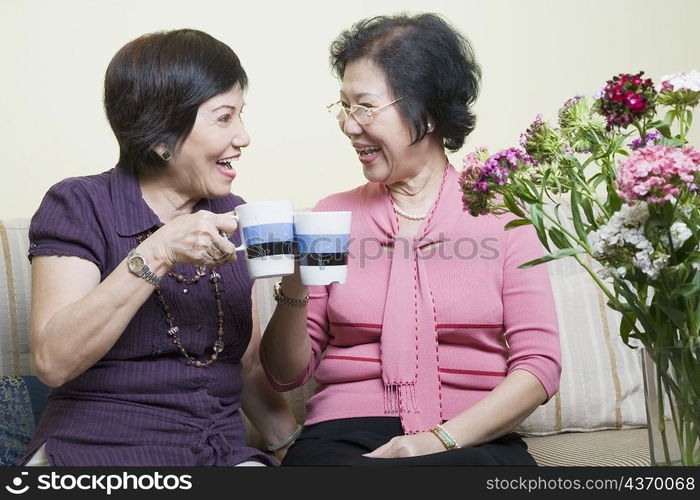 Close-up of two senior women toasting with cups and laughing